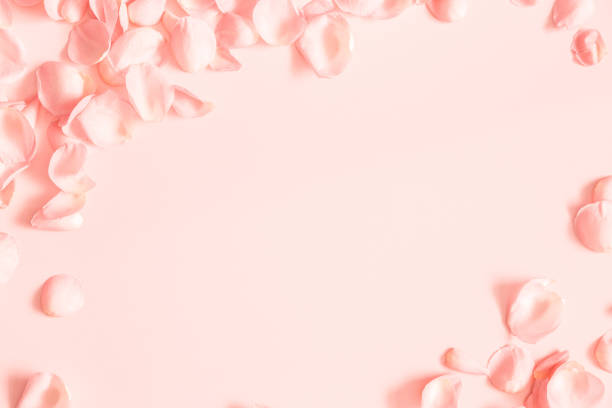 istock Coral rose flower petals on coral background. Flat lay, top view, copy space 1094777154