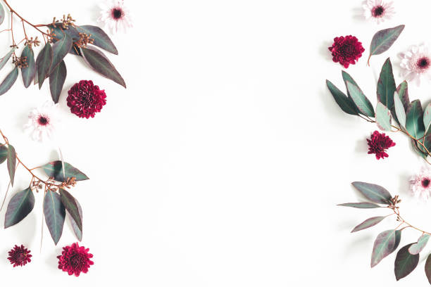 istock Flowers composition. Eucalyptus leaves and pink flowers on white background. Flat lay, top view, copy space 1094778422