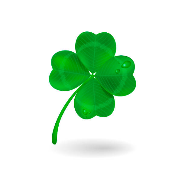 ilustrações de stock, clip art, desenhos animados e ícones de realistic four-leaf clover illustration - number number 4 three dimensional shape green