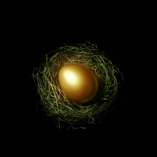 둥지에서 황금 알 - birds nest animal nest nest egg savings 뉴스 사진 이미지