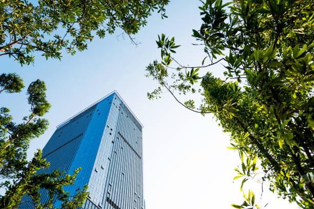 istock Modern office building and green leaves 1094787696