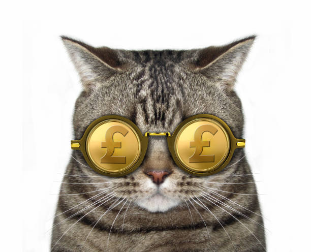istock Cat in gold british pound glasses 1094795728