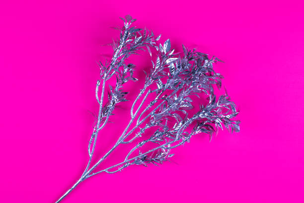 istock silver flower branch on red background 1094797364