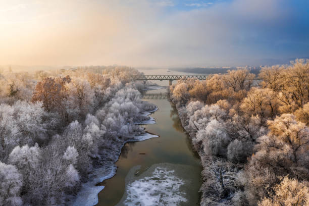 Budapest, Hungary - Frosted trees at sunrise with railway bridge and island at winter stock photo