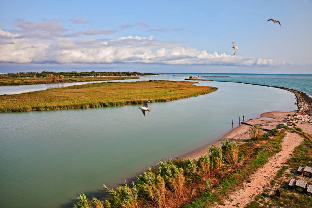 Rosolina, Veneto, Italy: landscape of the Adige river mouth in the nature reserve Po river delta park Rosolina, Veneto, Italy: landscape of the Adige river mouth in the nature reserve Po river delta park estuary stock pictures, royalty-free photos & images