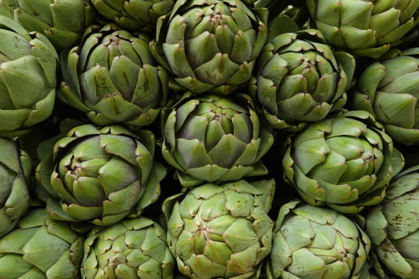 group of green artichoke flower buds green natural background group of green artichoke flower buds dalat photos stock pictures, royalty-free photos & images