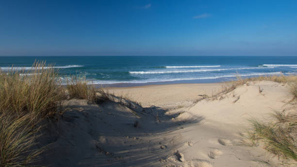 istock Surf, a sport in line with nature 1094810378