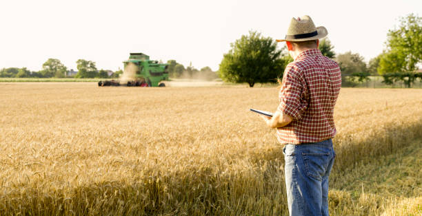 istock View of man looking at field 1094813648