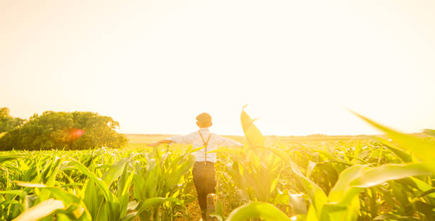 istock View of boy playing on corn field 1094813792