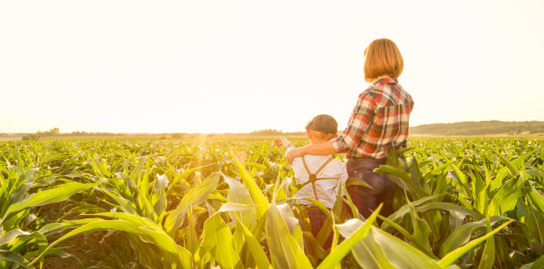 istock Mother and son on corn field 1094813958