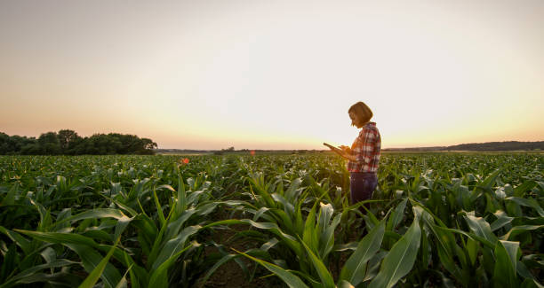 istock View of woman on field 1094814066