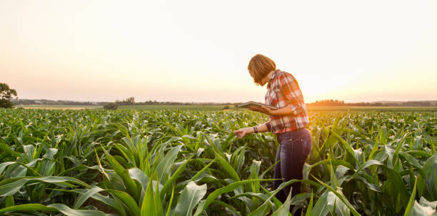 istock View of woman on field 1094814088