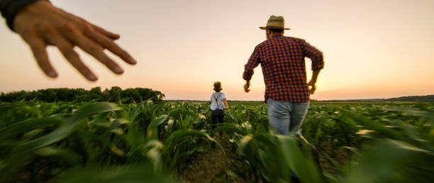 istock Rear view of family on corn field 1094814110