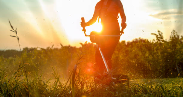 istock View of person cutting grass 1094818820