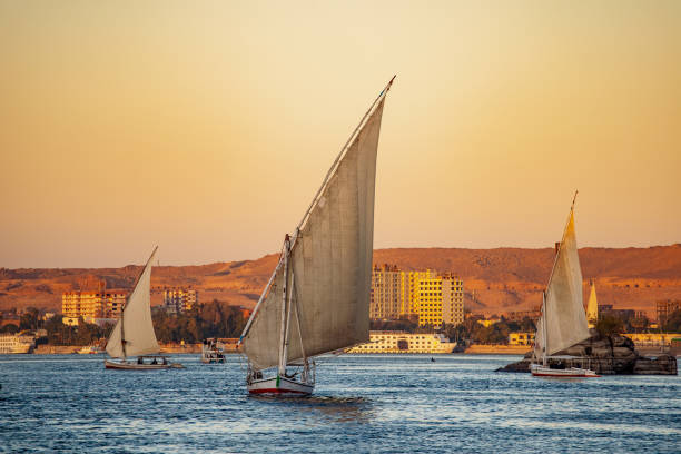 embarcaciones turísticas de falucho en el río nilo al atardecer en luxor - felucca boat fotografías e imágenes de stock