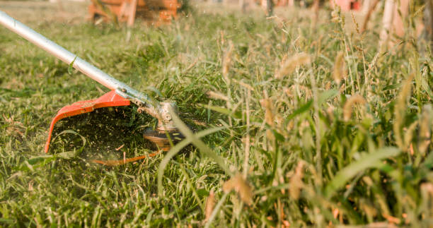 istock Close up of lawn mower 1094818846