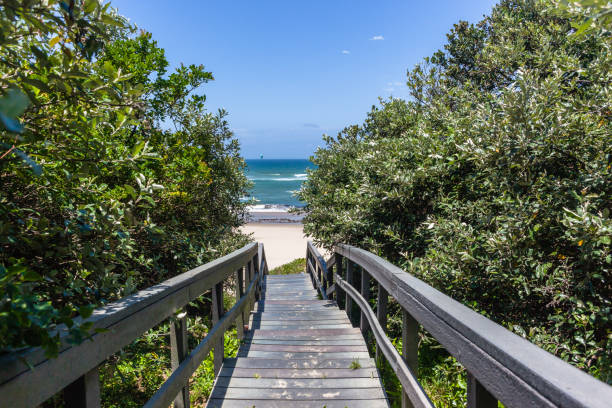 istock Beach Walkway Stairs Bush Ocean Kite Surfing 1094823598