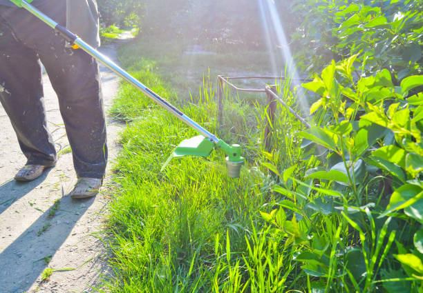 istock A working man mows the grass with a mower. Outdoor work 1094827052