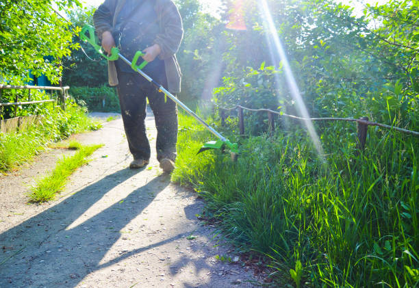 istock A working man mows the grass with a mower. Outdoor work 1094827088