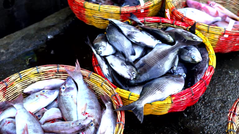 Fresh Tropical fish on basket for sale at Seafood Market