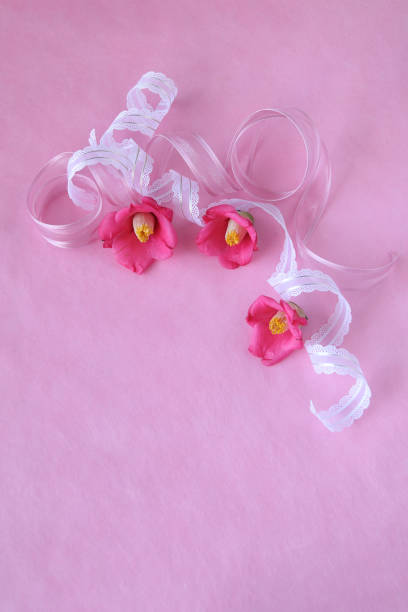 istock camellia and ribbon lace 1094838086