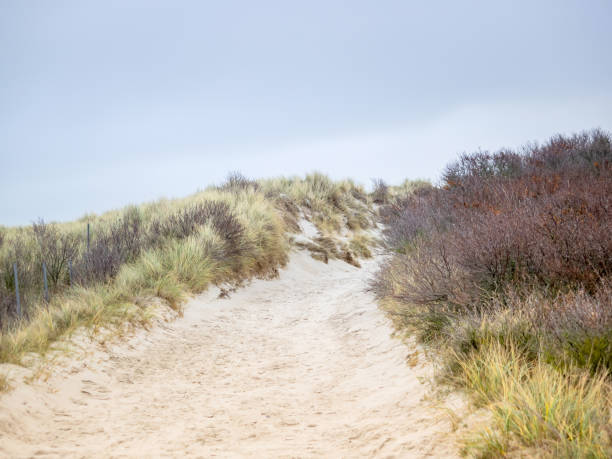 istock Dune landscape on the island Helgoland 1094838342
