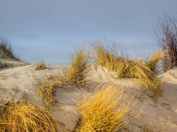 istock Dune landscape on the island Helgoland 1094838430