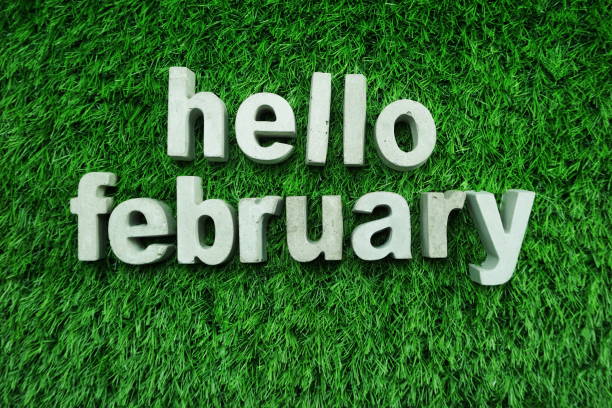 istock Hello February made from concrete alphabet top view on green grass 1094840108