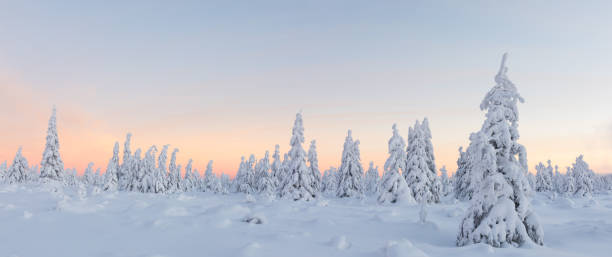 istock Beautiful winter landscape, trees covered with snow. 1094840644