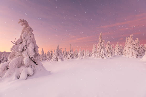 istock Beautiful winter landscape, trees covered with snow. 1094840684