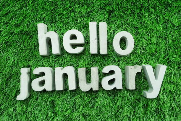 istock Hello January made from concrete alphabet top view on green grass 1094841000
