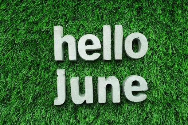 istock Hello June made from concrete alphabet top view on green grass 1094841834