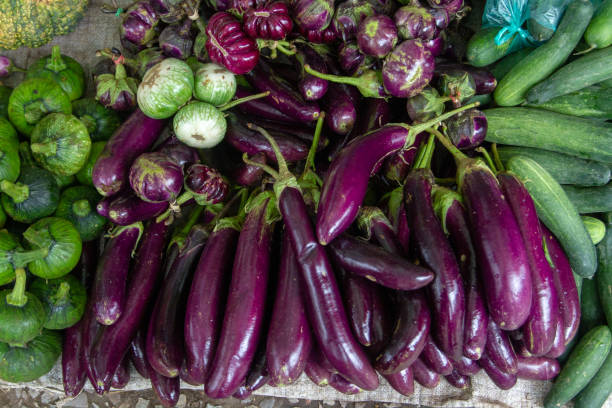 istock fresh eggplant at the market 1094846530