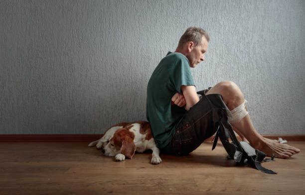 Beagle and his owner in torn pants and bitten feet. Truce, cute beagle and his owner in torn pants and bitten feet. Conceptual image on the theme of animal education. Copy space. dog aggression education friendship stock pictures, royalty-free photos & images