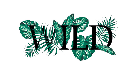 Wild slogan with palm tree leaves.