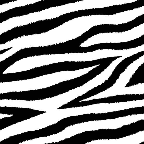 nahtlose muster mit zebra fell print. vektor-illustration. tierische textur. - safari animals animal feline undomesticated cat stock-grafiken, -clipart, -cartoons und -symbole