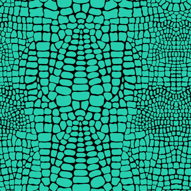 illustrazioni stock, clip art, cartoni animati e icone di tendenza di modello vettoriale senza cuciture con pelle realistica di coccodrillo o alligatore. carta da parati in pelle verde. background animalista. - snakeskin snake print python