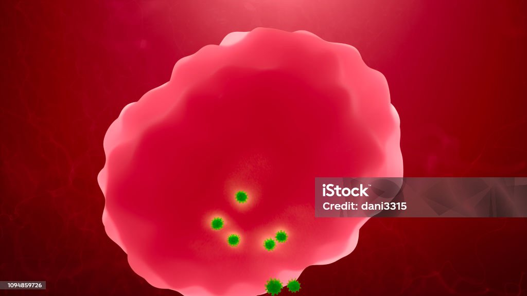 Lymphocyte Infection Virus Attack On A Lymphocyte Infection And Immunodeficiency Concept 3d ...