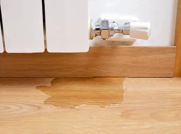 Photo of water leaking on the parquet floor