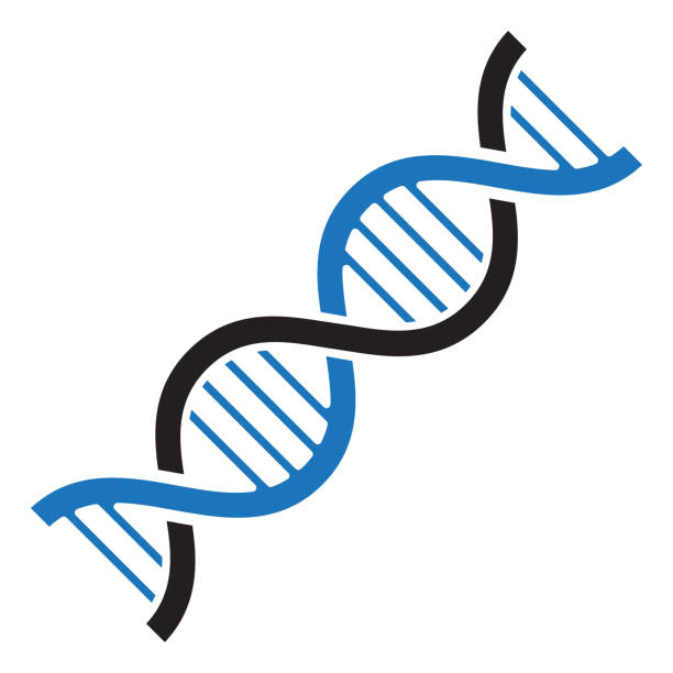 dna-symbol. schwarze und blaue farben. vektor-illustration - helix stock-grafiken, -clipart, -cartoons und -symbole