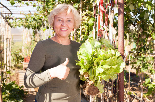 istock Senior woman taking greens in her hands 1094869462