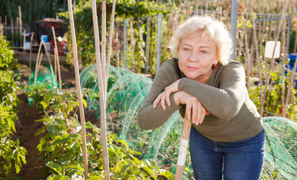 istock Smiling senior woman posing in garden 1094869618