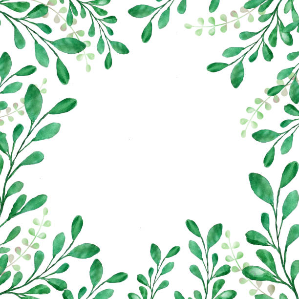 istock Beautiful watercolor decoration made of green hand drawn leaves with copy space, frame for invitations, print 1094874276