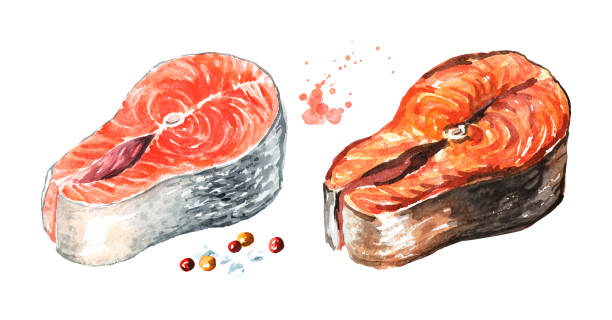 istock Salmon fish fillet, raw and grilled. Watercolor hand drawn illustration isolated on white background 1094877846