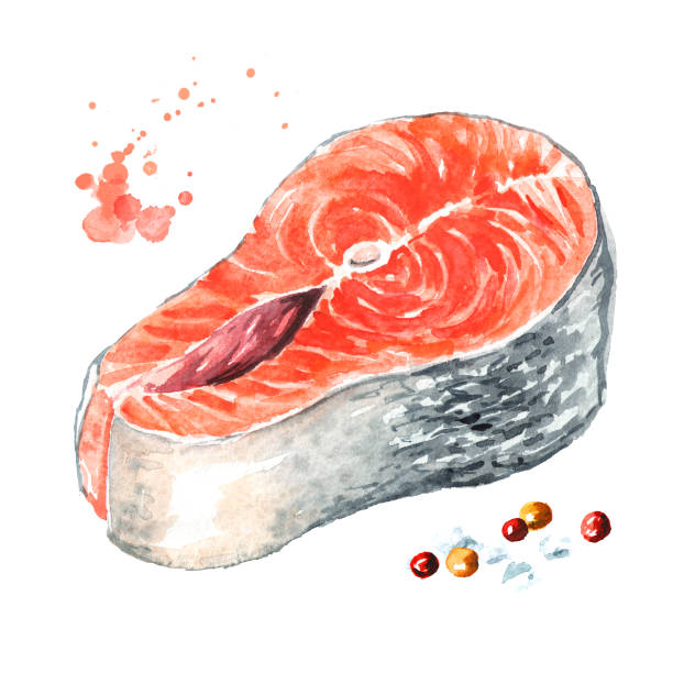 istock Salmon fish fillet. Watercolor hand drawn illustration isolated on white background 1094878000
