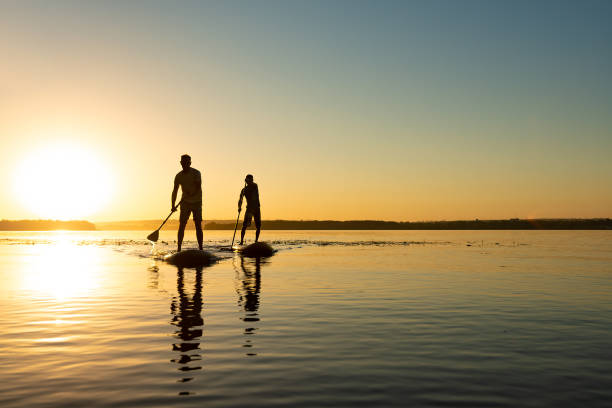 Silhouettes men, friends who are paddling on a SUP boards Silhouettes men, friends who are paddling on a SUP boards on a large river during sunrise. Stand up paddle boarding - awesome active recreation in nature. Backlight. paddleboard photos stock pictures, royalty-free photos & images