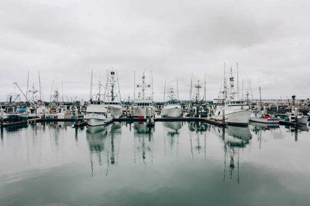 istock San Diego harbor, tourism travel destination 1094894672
