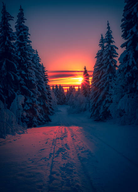 istock Winter sunset road view from Sotkamo, Finland. 1094900232