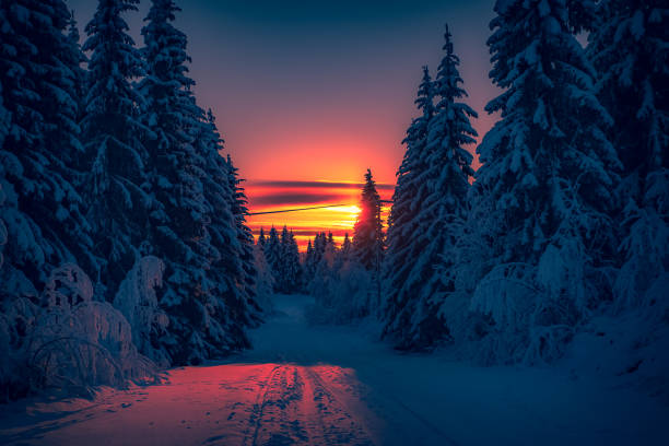 istock Winter sunset road view from Sotkamo, Finland. 1094900258