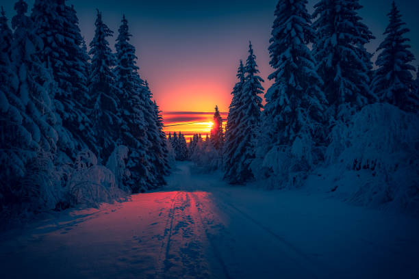 istock Winter sunset road view from Sotkamo, Finland. 1094900276